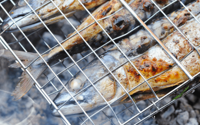 Grill Buying Guide: How to Choose The Right Grill Tank?