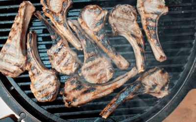 How to Dispose and Have the Best BBQ Grill Recycling in FL?